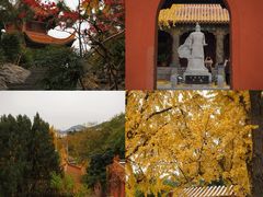 -戏马台景区