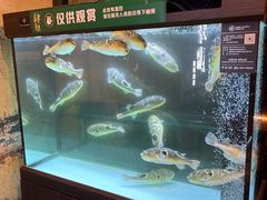 -肆月河豚·淮扬菜·湘菜(华天店)