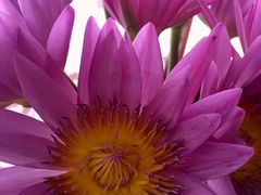 -森野花艺培训·企业团建活动沙龙