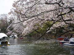 -井之头恩赐公园