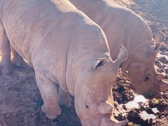 -鄂尔多斯野生动物园