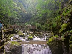 -牛背梁国家森林公园