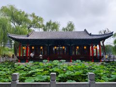 -济南大明湖景区