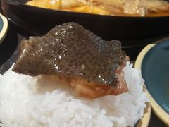 -肥鱼屯活鱼锅(惠工街店)