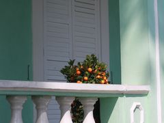 -龙环葡韵住宅式博物馆