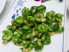 翡翠虾仁-玉华台饭庄·淮扬菜·烤鸭(望京店)