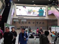 -山东大学齐鲁医院(青岛院区)