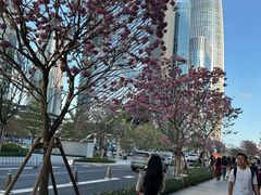 -深圳湾万象城(南山店)