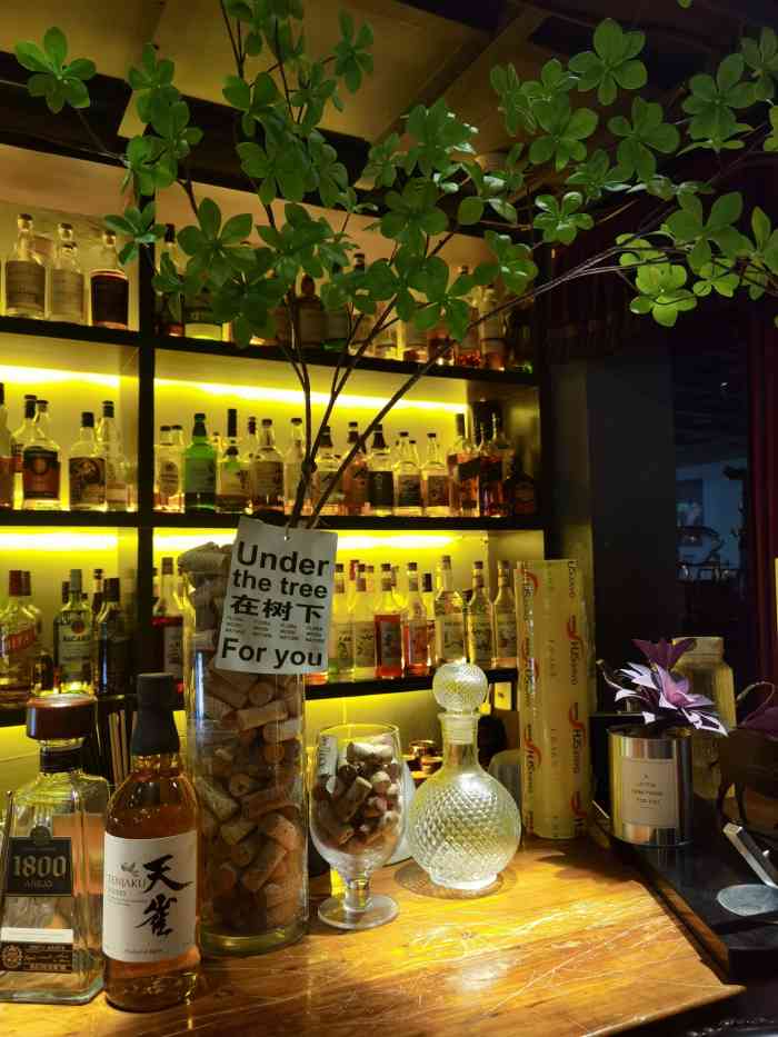 sopo娑婆酒吧·越南粉-"火车头河粉:汤底很鲜,肉也挺多的,配上特.