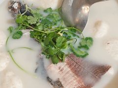 -紫藤园·天目湖大鱼头(南山竹海店)