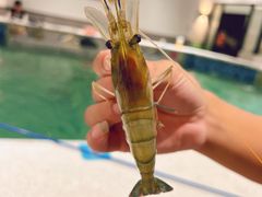 -嘻虾·钓虾工场(东莞总店)