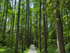-同里国家湿地公园