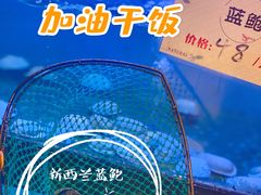 -洞仙锅(花园街店)