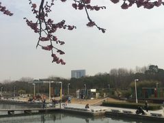 -白塘生态植物园