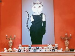 -猫色咖啡·猫咖