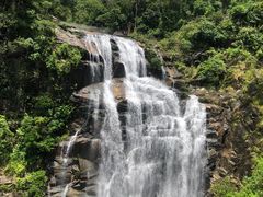 -海南热带雨林国家公园吊罗山景区