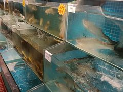-胖姐渔村(中源大道店)