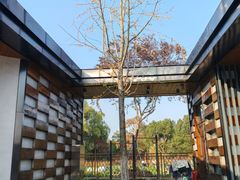 -昆山城市生态森林公园