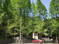 -都江堰普照寺