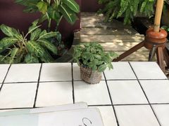 -Cheevit Cheeva(Sirimangkalajarn)