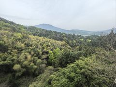 -庐山风景名胜区-东林大佛