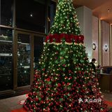 你可以永远相信哈尔滨的🎄圣诞氛围…