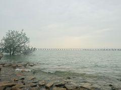 -宝安西湾红树林湿地公园