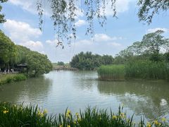 -沙家浜风景区