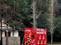 -龙湾潭国家森林公园