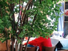 -福海居烤鸭店(鸟巢店)