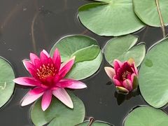 -南阳建业森林半岛假日酒店