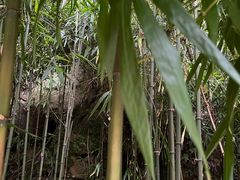 -杭州黄龙洞