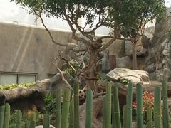 -香港海洋公园