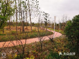 上海旅游攻略|闲时逛公园