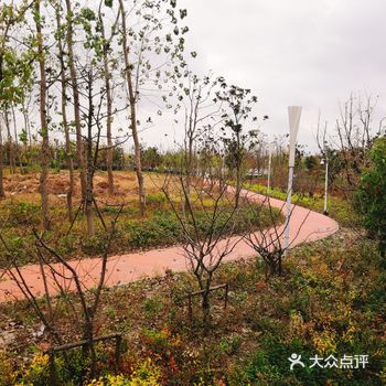 上海旅游攻略|闲时逛公园