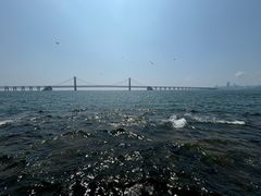 -星海广场