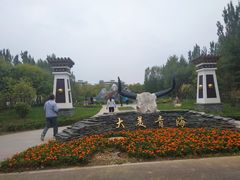 -武清南湖绿博园