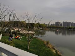 -昆山城市生态森林公园