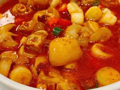 -宁夏国强手抓羊肉·清真菜(未央路凤三店)