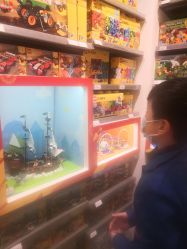 -乐高授权专卖店(浦东嘉里城店)