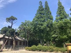 -青岛崂山太清宫