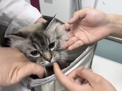 -达爱动物医院·犬猫分区·CT·复杂眼科(远洋山水分院)