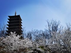-牛首山文化旅游区