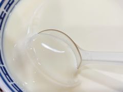 招牌姜撞奶-捷信牛奶甜品世家(学府店)