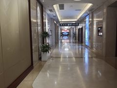 -郑州新郑国际机场T2航站楼-贵宾厅B区