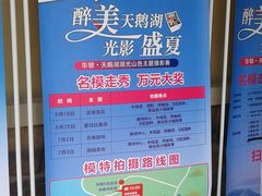 -天鹅湖生态旅游风景区