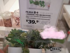 -宜家家居(哈尔滨商场店)