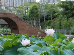 -金山公园