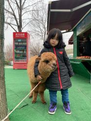 -萌宠亲子动物乐园(槐房万达店)