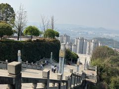 -铁山坪森林公园